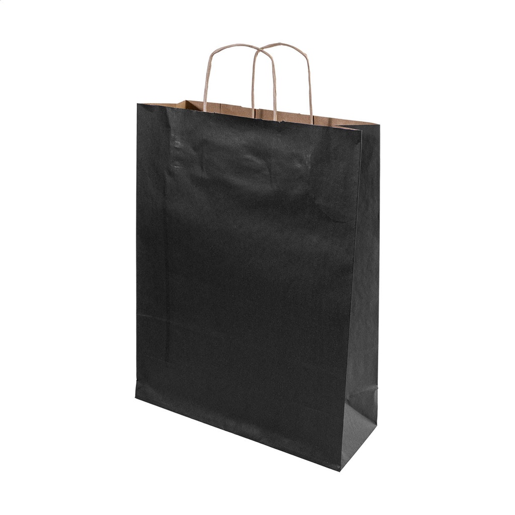 Paper Gift Bag, Large