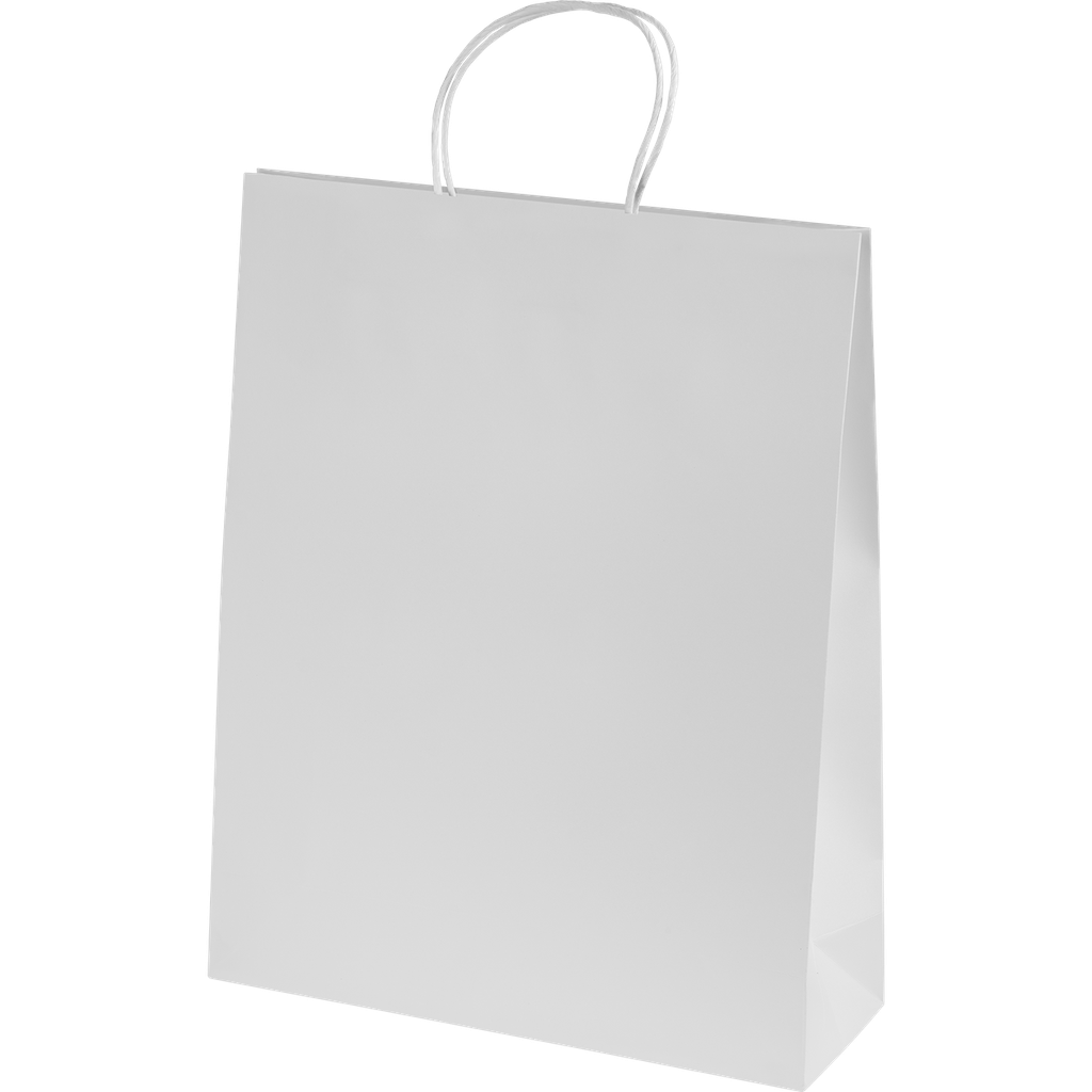 Ashdown Large Paper Gift Bag