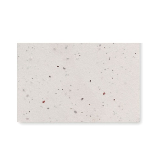 [MO2993-06] Wildflower Seed Business Card.
