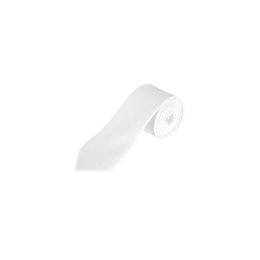 Garner Satin Tie