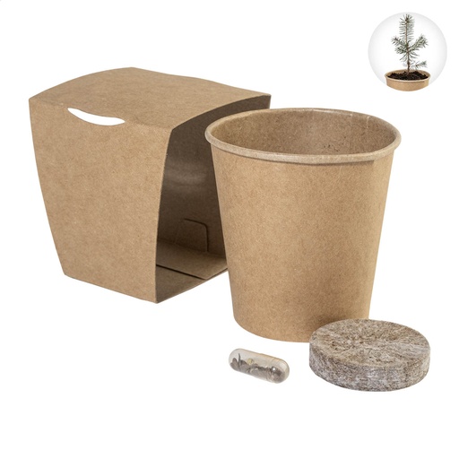 [AP757019] Christmas Tree Growing Kit