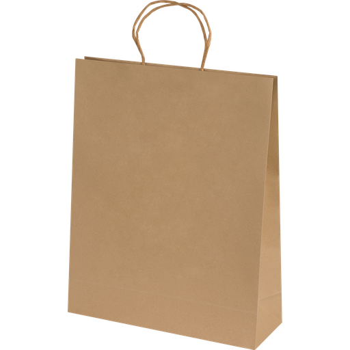 [BPKNE7272] Ashdown Large Paper Gift Bag